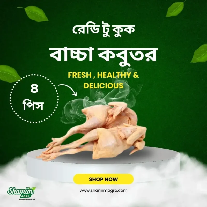 ready to cook - baby pigeon 4