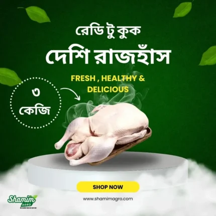 ready to cook - deshi rajhash 3