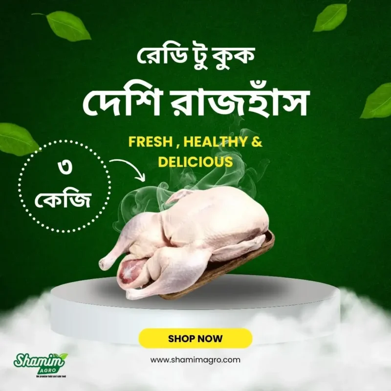 ready to cook - deshi rajhash 3