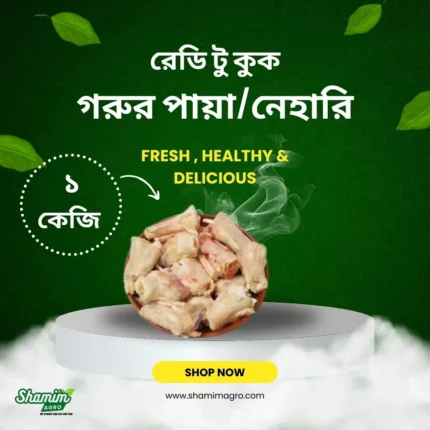 ready to cook - gorur paya 1