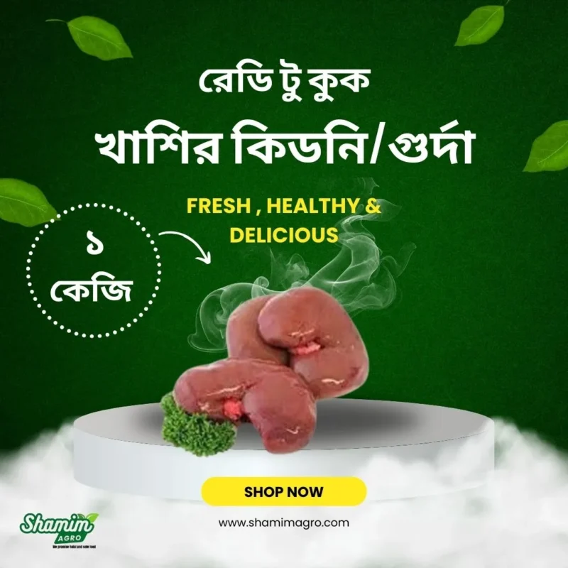 ready to cook - khasir kidni 1