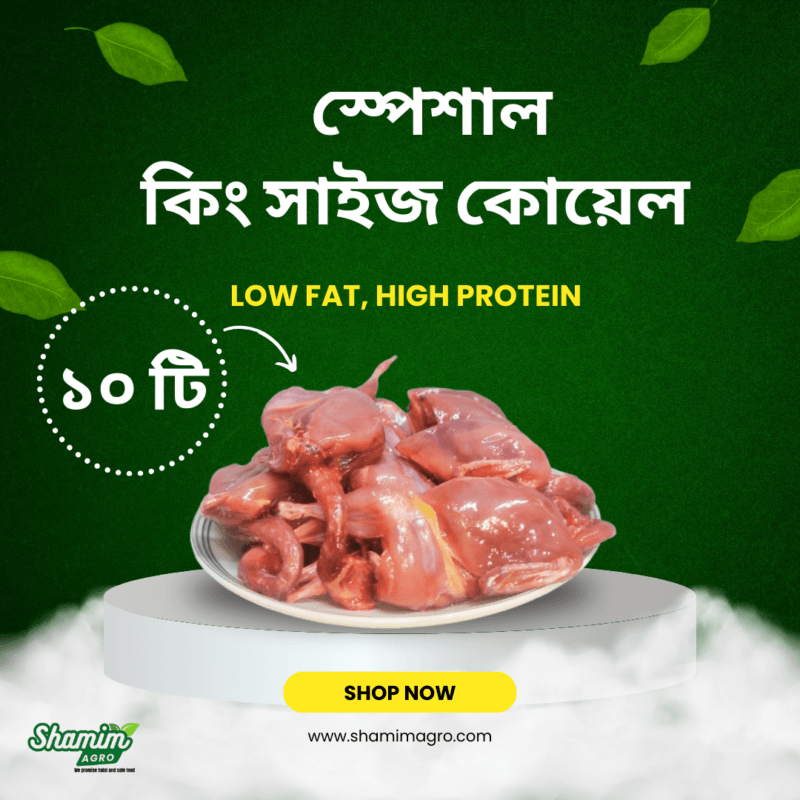 special king size koyel 10